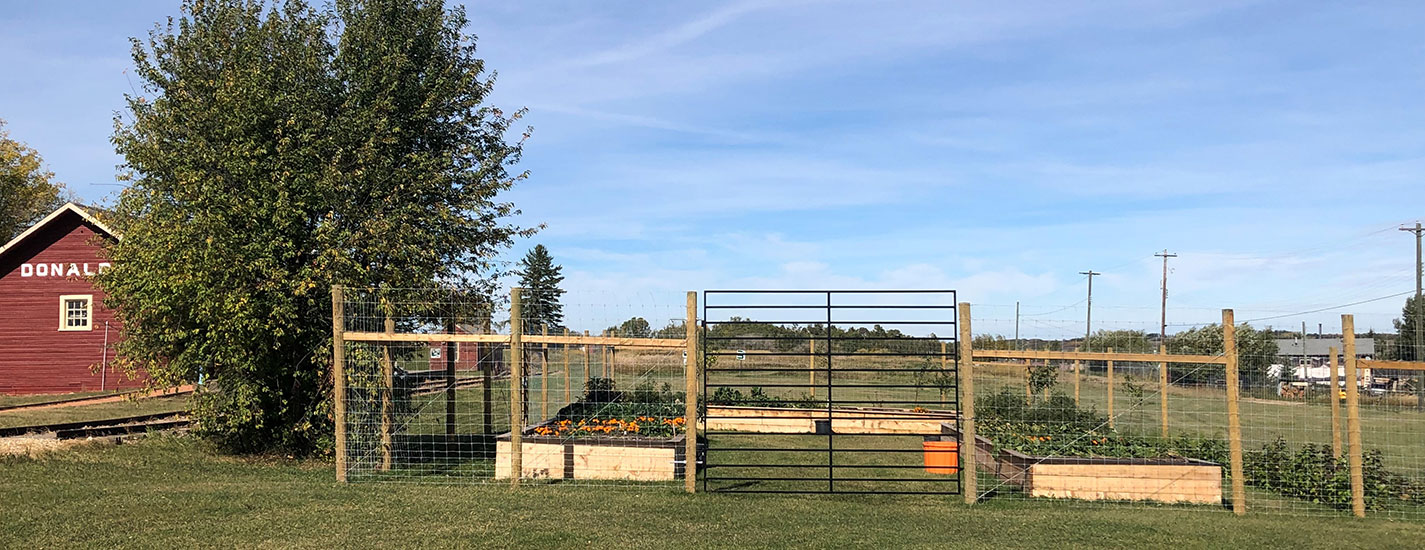 The community garden at Donalda.